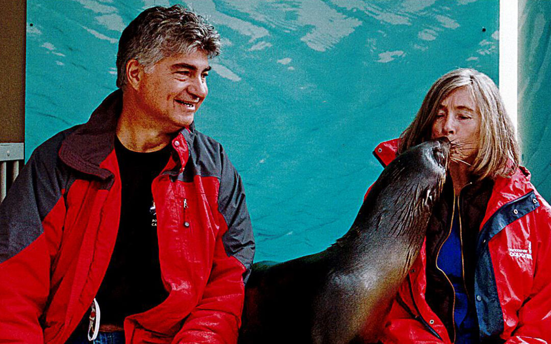 B Corp Month is Here!